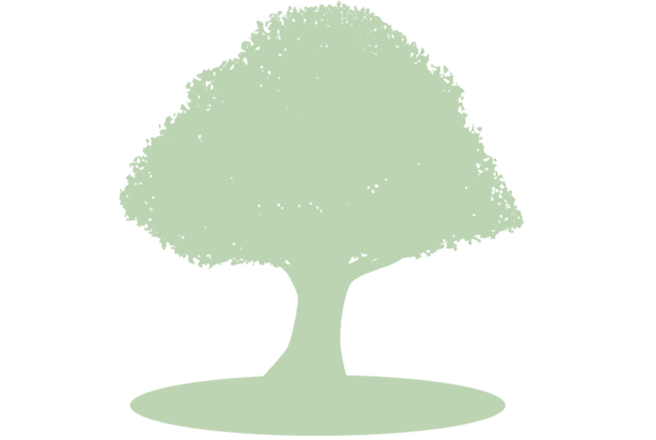 名字由来netについて